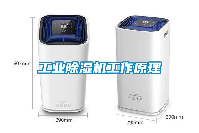工业粉色视频免费在线观看工作原理