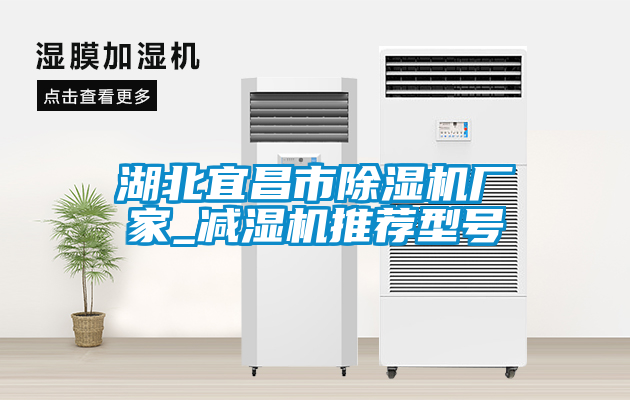 湖北宜昌市粉色视频免费在线观看厂家_减湿机推荐型号