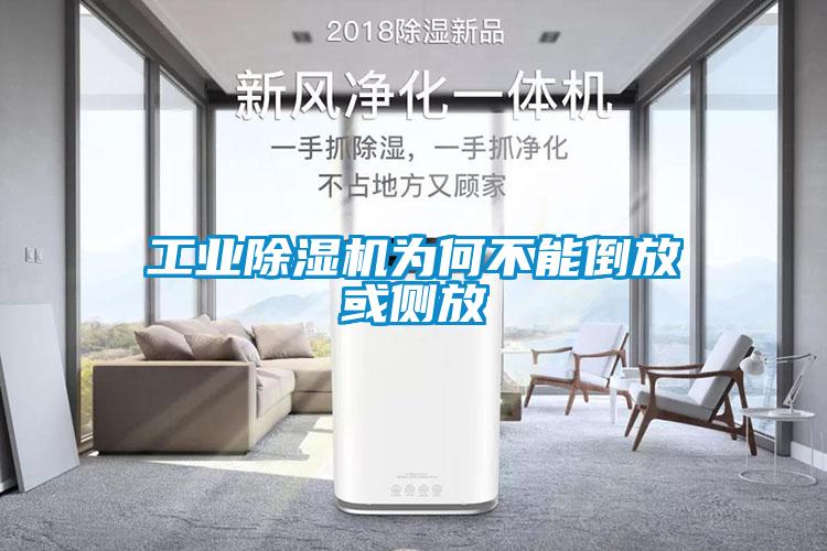工业粉色视频免费在线观看为何不能倒放或侧放