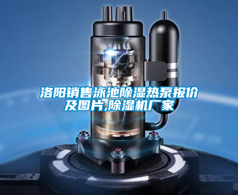 洛阳销售泳池除湿热泵报价及图片,粉色视频免费在线观看厂家