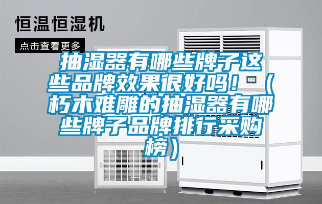 抽湿器有哪些牌子这些品牌效果很好吗！（朽木难雕的抽湿器有哪些牌子品牌排行采购榜）