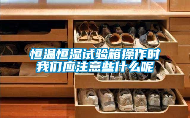 恒温恒湿试验箱操作时粉色视频下载污应注意些什么呢