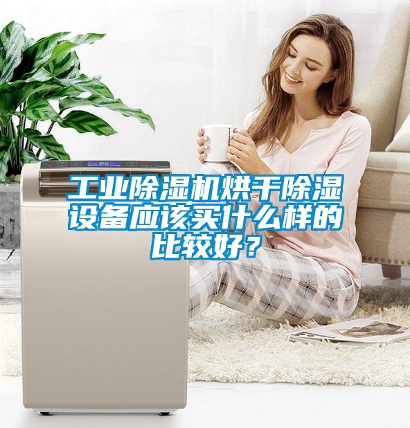 工业粉色视频免费在线观看烘干除湿设备应该买什么样的比较好？