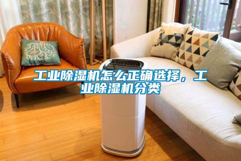 工业粉色视频免费在线观看怎么正确选择，工业粉色视频免费在线观看分类
