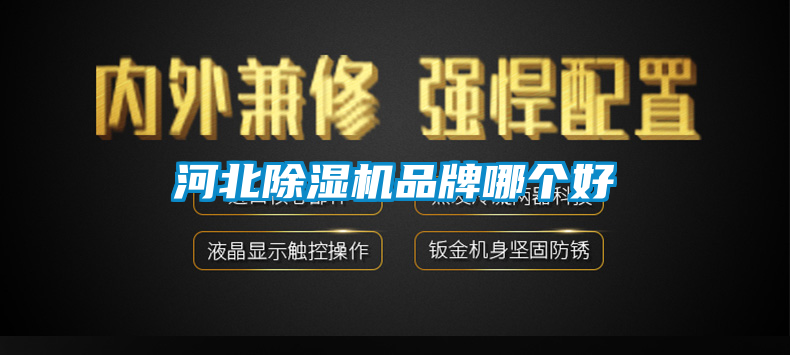 河北粉色视频免费在线观看品牌哪个好