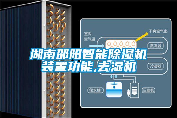 湖南邵阳智能粉色视频免费在线观看装置功能,去湿机