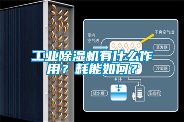 工业粉色视频免费在线观看有什么作用？耗能如何？