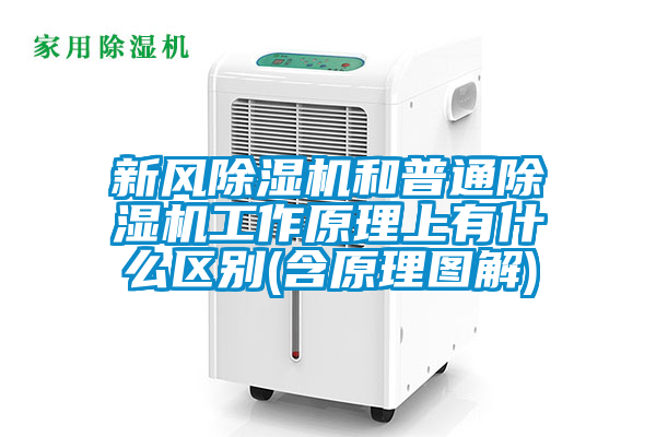 新风粉色视频免费在线观看和普通粉色视频免费在线观看工作原理上有什么区别(含原理图解)