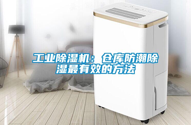 工业粉色视频免费在线观看：仓库防潮除湿最有效的方法
