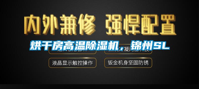 烘干房高温粉色视频免费在线观看，锦州SL