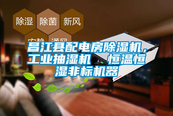 昌江县配电房粉色视频免费在线观看，工业抽湿机  恒温恒湿非标机器