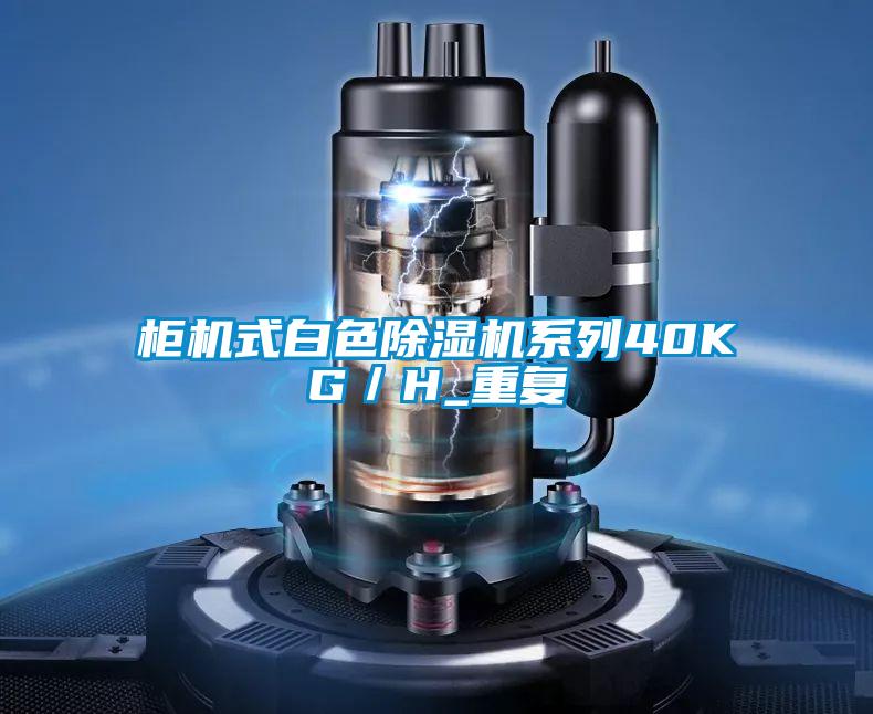 柜机式白色粉色视频免费在线观看系列40KG／H_重复