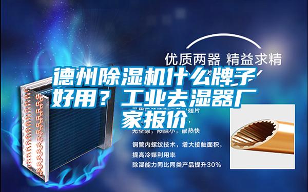 德州粉色视频免费在线观看什么牌子好用？工业去湿器厂家报价