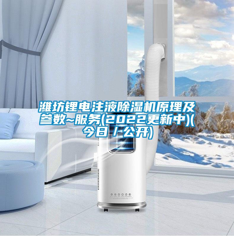 潍坊锂电注液粉色视频免费在线观看原理及参数~服务(2022更新中)(今日／公开)