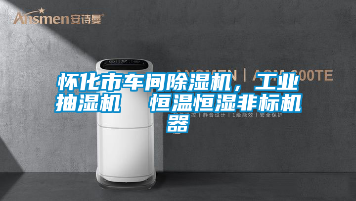 怀化市车间粉色视频免费在线观看，工业抽湿机  恒温恒湿非标机器