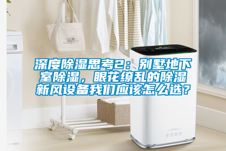 深度除湿思考2：别墅地下室除湿，眼花缭乱的除湿新风设备粉色视频下载污应该怎么选？
