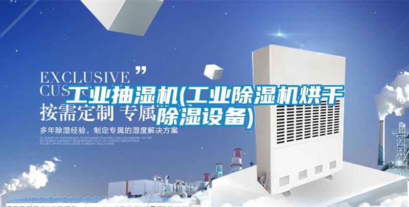 工业抽湿机(工业粉色视频免费在线观看烘干除湿设备)