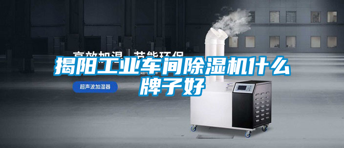 揭阳工业车间粉色视频免费在线观看什么牌子好