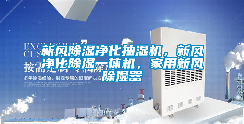 新风除湿净化抽湿机，新风净化除湿一体机，家用新风除湿器