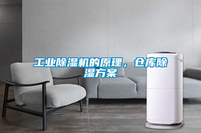 工业粉色视频免费在线观看的原理，仓库除湿方案