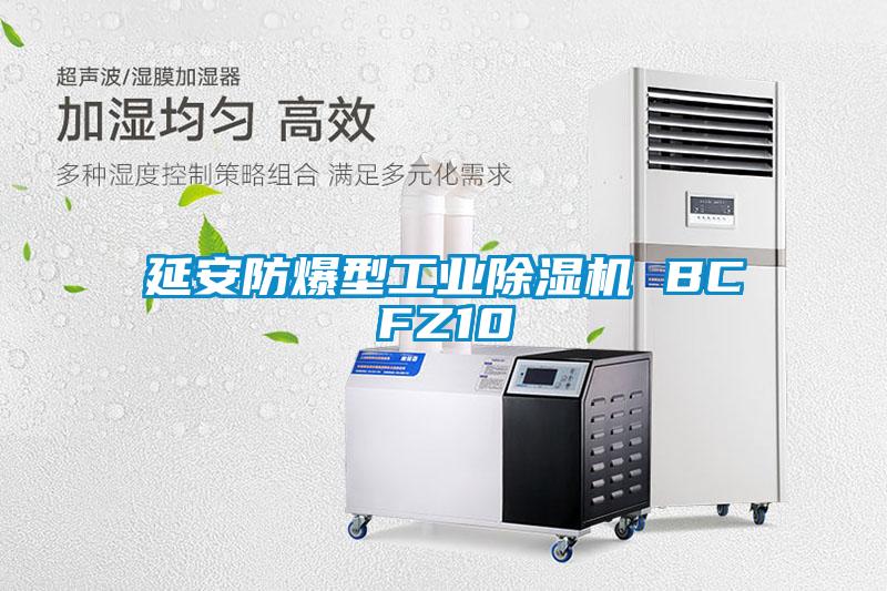 延安防爆型工业粉色视频免费在线观看 BCFZ10