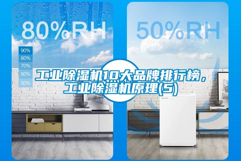 工业粉色视频免费在线观看10大品牌排行榜，工业粉色视频免费在线观看原理(5)