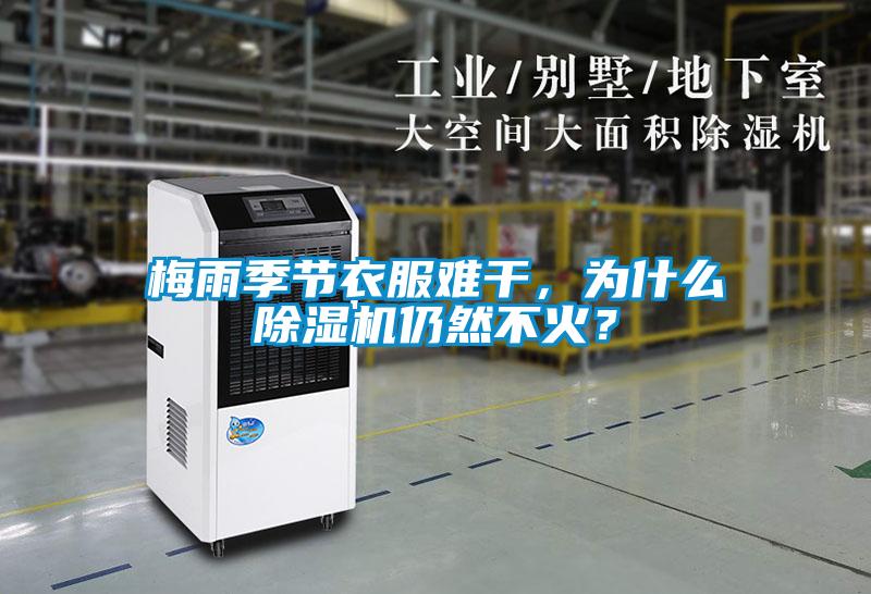 梅雨季节衣服难干，为什么粉色视频免费在线观看仍然不火？