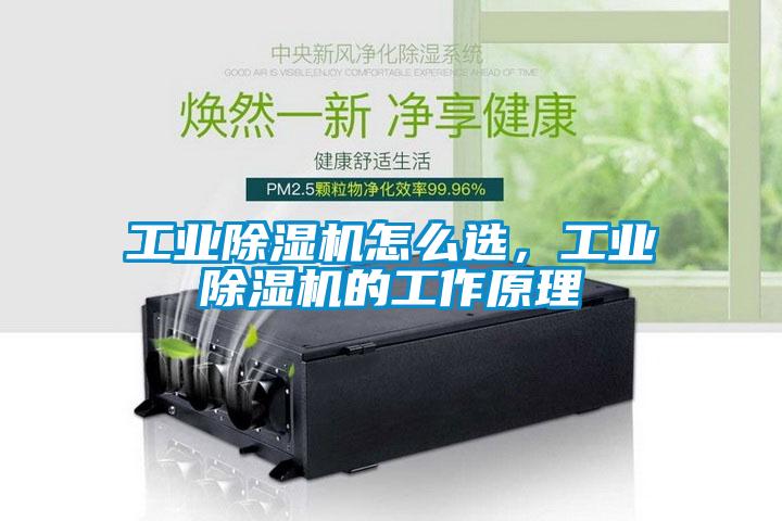 工业粉色视频免费在线观看怎么选，工业粉色视频免费在线观看的工作原理