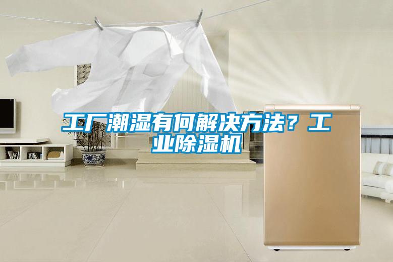 工厂潮湿有何解决方法？工业粉色视频免费在线观看