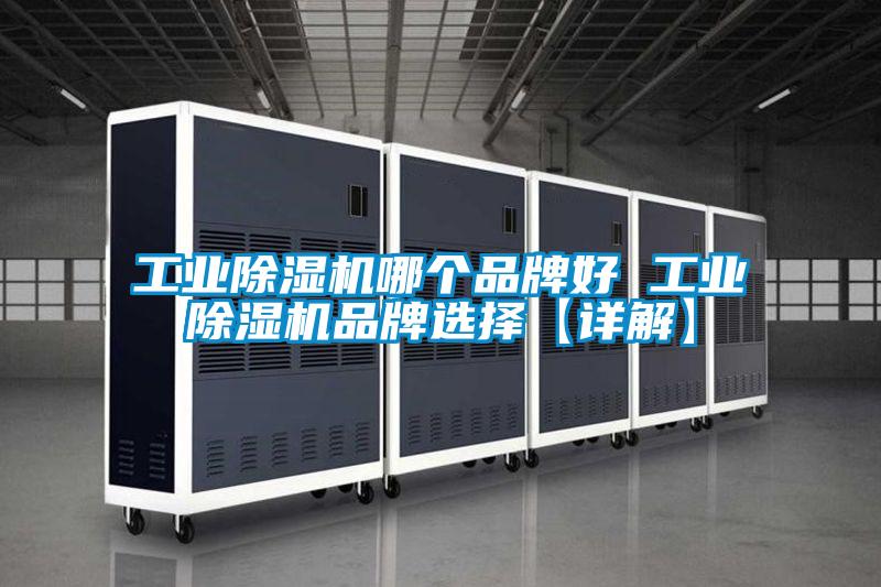 工业粉色视频免费在线观看哪个品牌好 工业粉色视频免费在线观看品牌选择【详解】