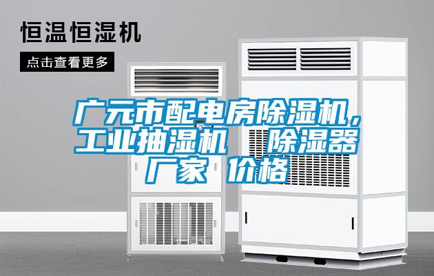 广元市配电房粉色视频免费在线观看，工业抽湿机  除湿器厂家 价格