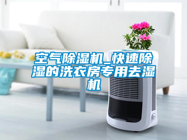 空气粉色视频免费在线观看_快速除湿的洗衣房专用去湿机