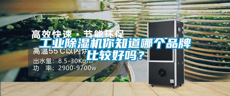 工业粉色视频免费在线观看你知道哪个品牌比较好吗？