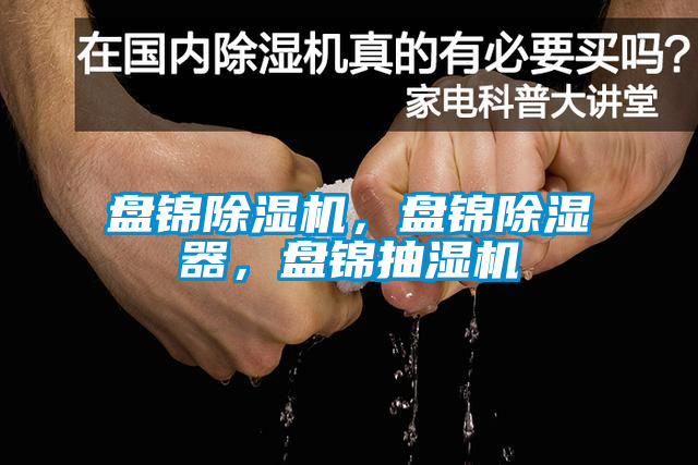 盘锦粉色视频免费在线观看，盘锦除湿器，盘锦抽湿机
