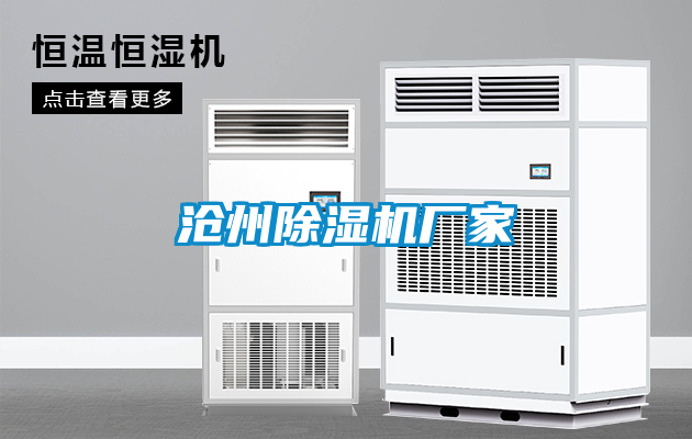 沧州粉色视频免费在线观看厂家