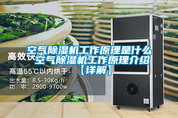 空气粉色视频免费在线观看工作原理是什么 空气粉色视频免费在线观看工作原理介绍【详解】