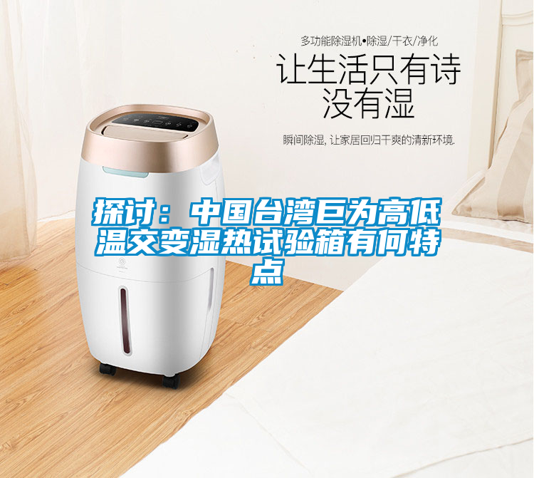 探讨：中国台湾巨为高低温交变湿热试验箱有何特点