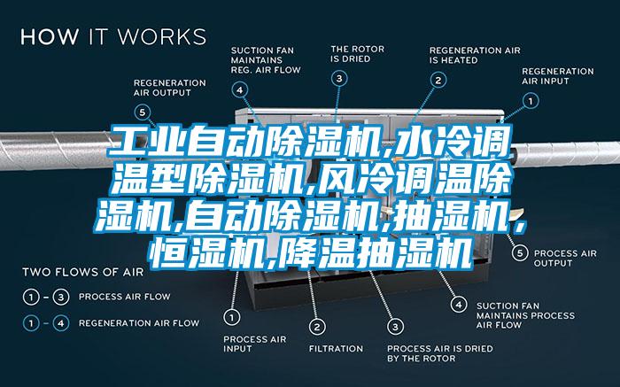 工业自动粉色视频免费在线观看,水冷调温型粉色视频免费在线观看,风冷调温粉色视频免费在线观看,自动粉色视频免费在线观看,抽湿机，恒湿机,降温抽湿机
