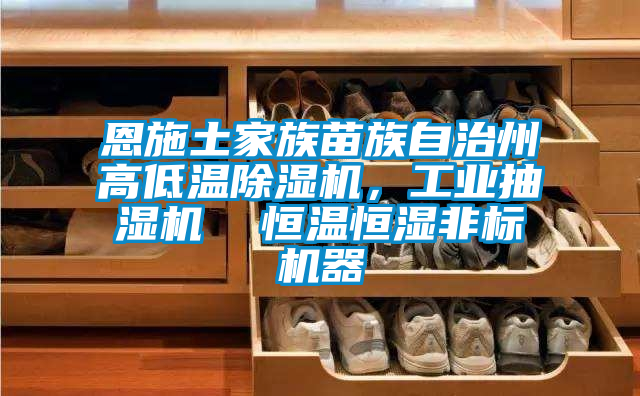 恩施土家族苗族自治州高低温粉色视频免费在线观看，工业抽湿机  恒温恒湿非标机器