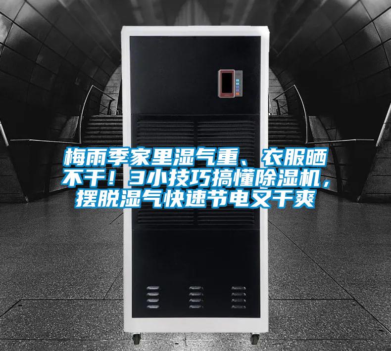 梅雨季家里湿气重、衣服晒不干！3小技巧搞懂粉色视频免费在线观看，摆脱湿气快速节电又干爽