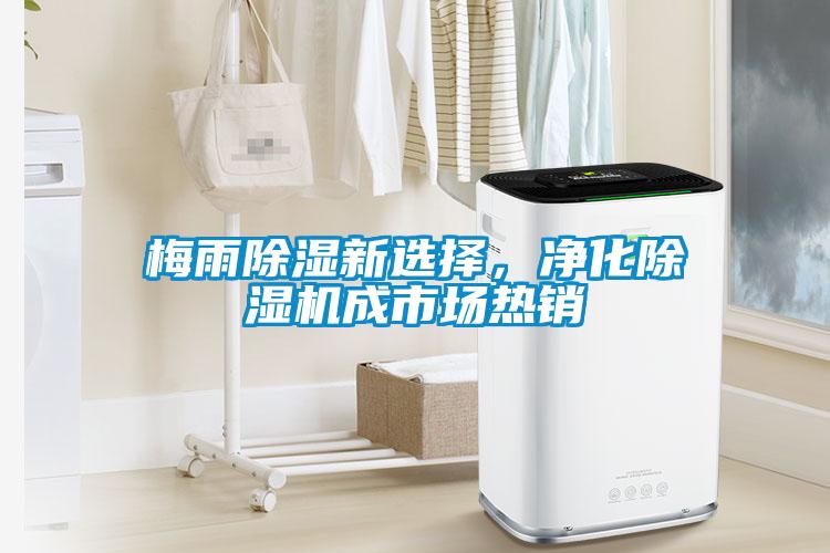 梅雨除湿新选择，净化粉色视频免费在线观看成市场热销