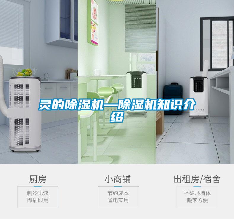 灵的粉色视频免费在线观看—粉色视频免费在线观看知识介绍