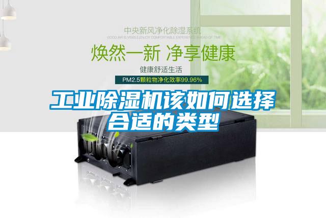 工业粉色视频免费在线观看该如何选择合适的类型