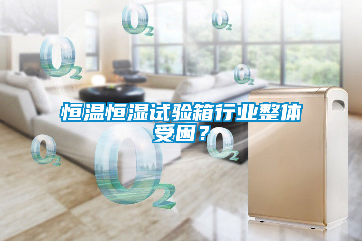 恒温恒湿试验箱行业整体受困？