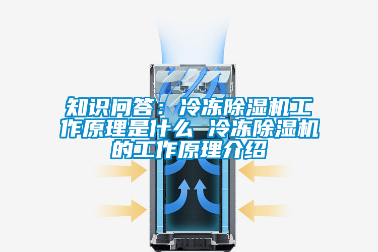 知识问答：冷冻粉色视频免费在线观看工作原理是什么 冷冻粉色视频免费在线观看的工作原理介绍