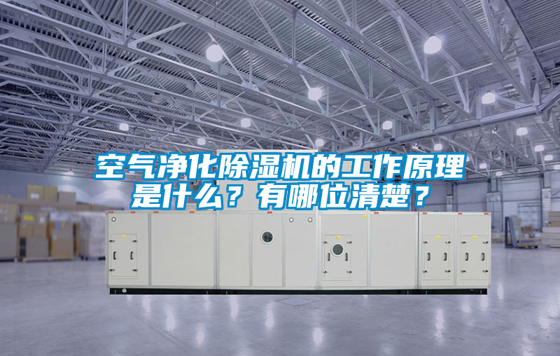 空气净化粉色视频免费在线观看的工作原理是什么？有哪位清楚？