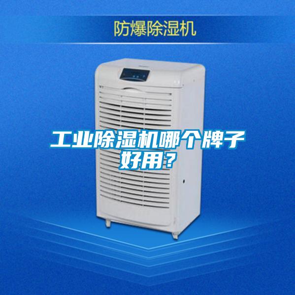 工业粉色视频免费在线观看哪个牌子好用？