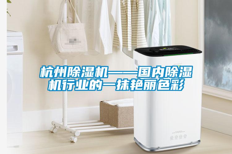 杭州粉色视频免费在线观看——国内粉色视频免费在线观看行业的一抹艳丽色彩