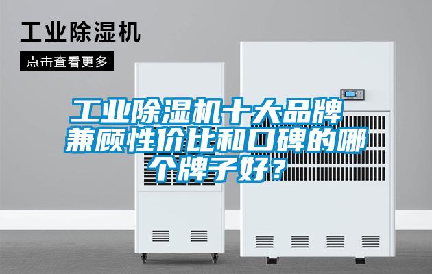 工业粉色视频免费在线观看十大品牌 兼顾性价比和口碑的哪个牌子好？