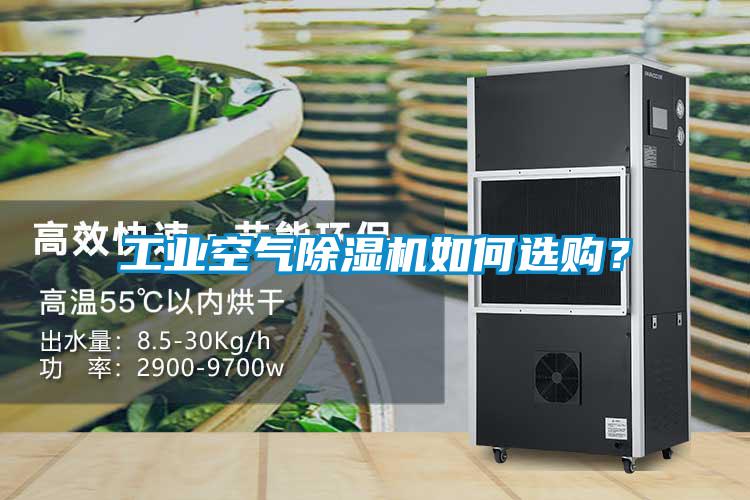 工业空气粉色视频免费在线观看如何选购？